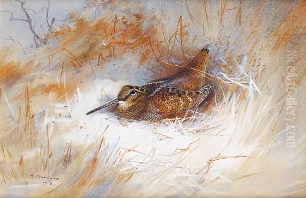 Woodcock Oil Painting by Archibald Thorburn