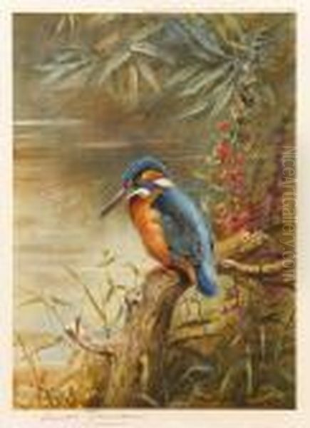 Kingfisher Oil Painting by Archibald Thorburn