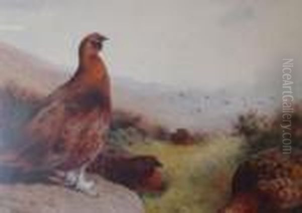 Grouse Oil Painting by Archibald Thorburn