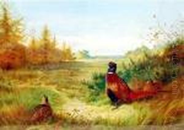 Pheasants At The Forest Edge With The Hunt In The Distance Oil Painting by Archibald Thorburn