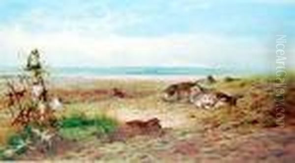 Partridges Resting On A Sandybank Oil Painting by Archibald Thorburn