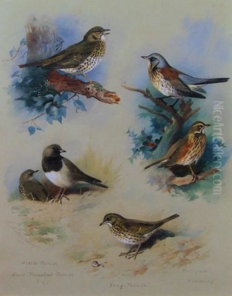 Plate Oil Painting by Archibald Thorburn