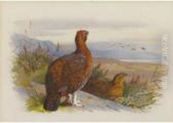 Pair Of Grouse Oil Painting by Archibald Thorburn