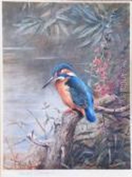 Kingfisher. Oil Painting by Archibald Thorburn