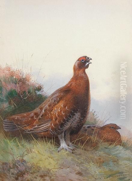 The Morning Call Oil Painting by Archibald Thorburn