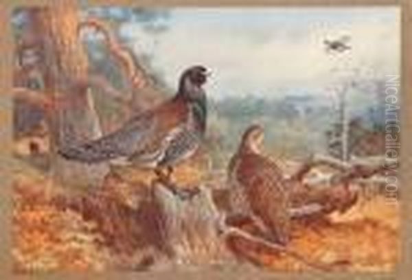 Game Birds And Wild-fowl Of Great Britain And Ireland Oil Painting by Archibald Thorburn