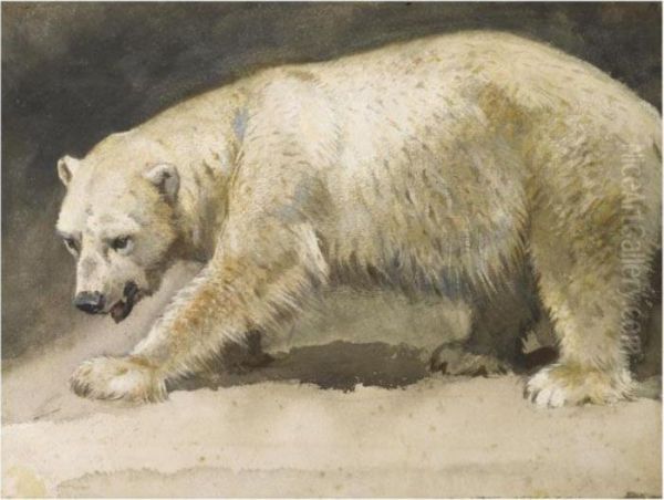 The Polar Bear Oil Painting by Archibald Thorburn