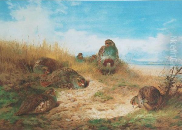 Bodycolour Oil Painting by Archibald Thorburn