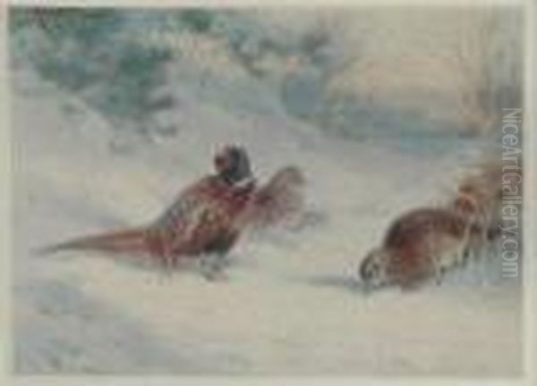 Pheasant And Hens Oil Painting by Archibald Thorburn