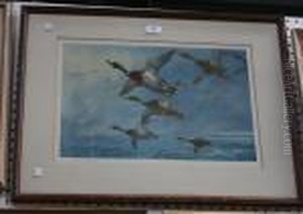 Mallards In Flight Oil Painting by Archibald Thorburn