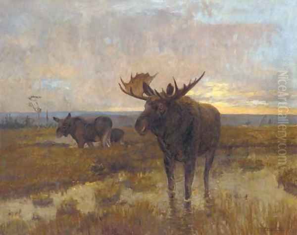 Moose on the marshes, dusk Oil Painting by Scandanavian School