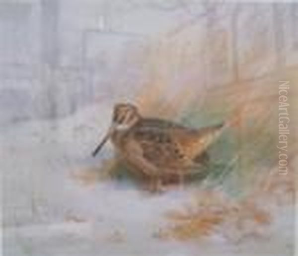 Pheasants In Snowy Landscape Oil Painting by Archibald Thorburn