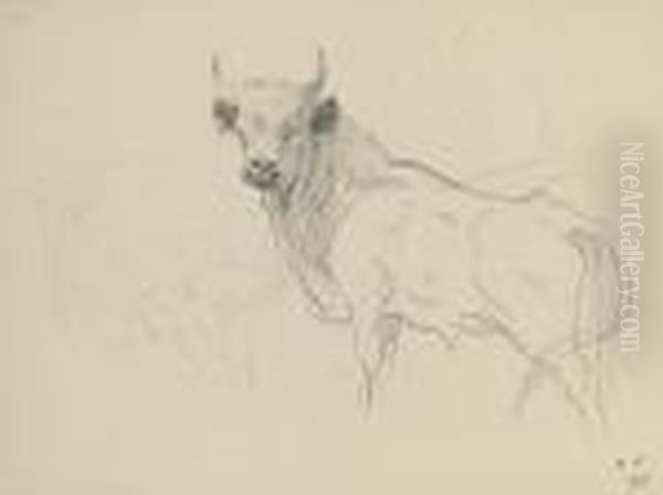 Study Of A Standing Cadzow Bull Oil Painting by Archibald Thorburn