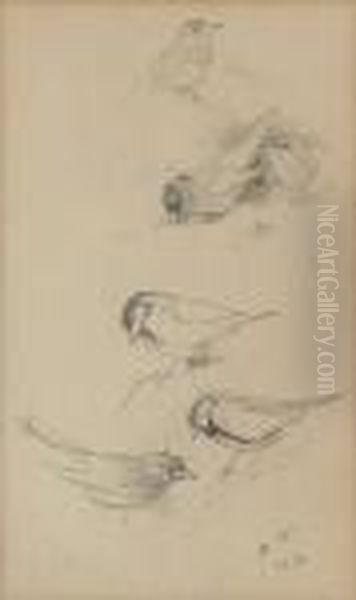 Two Sheets Of Studies Of Birds Including Finches, Blue Tits And Thrushes Oil Painting by Archibald Thorburn