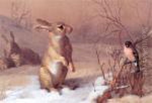 Hare And Chaffinch Oil Painting by Archibald Thorburn