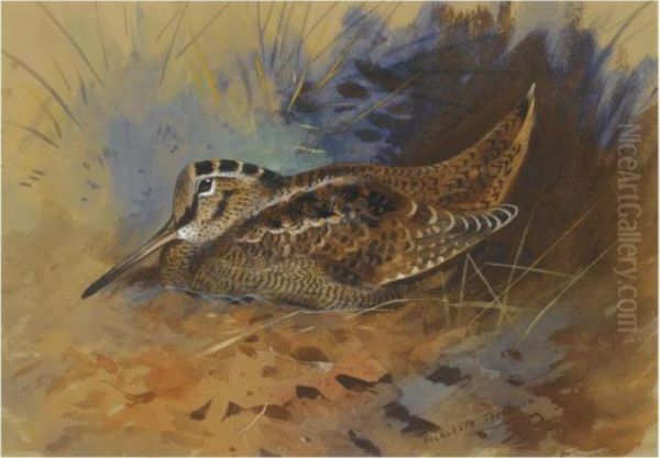 Woodcock Oil Painting by Archibald Thorburn