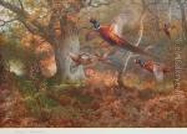 Pheasants In Flight Oil Painting by Archibald Thorburn