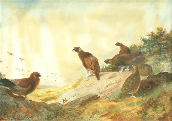 Grouse Oil Painting by Archibald Thorburn