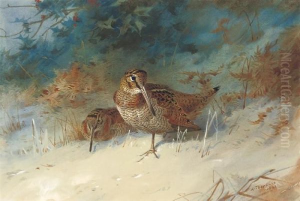 Woodcock In A Winter Landscape Oil Painting by Archibald Thorburn