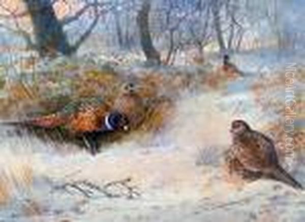 Pheasants Beside Woodland Oil Painting by Archibald Thorburn