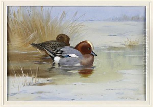 Widgeon On A Lake Oil Painting by Archibald Thorburn