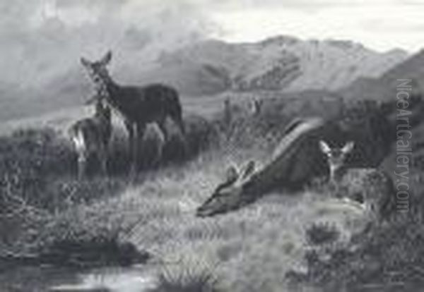 Hinds With Fawns At Rest Oil Painting by Archibald Thorburn