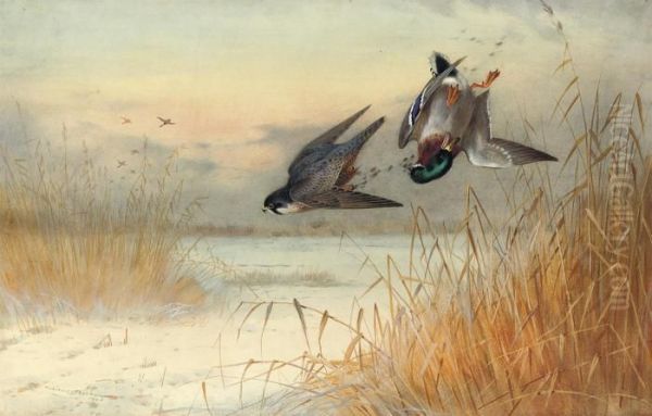 Killed As He Reaches Cover Oil Painting by Archibald Thorburn