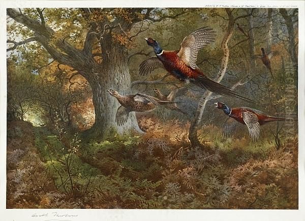 Signed Proofs, Pheasants And Partridges (2) Oil Painting by Archibald Thorburn