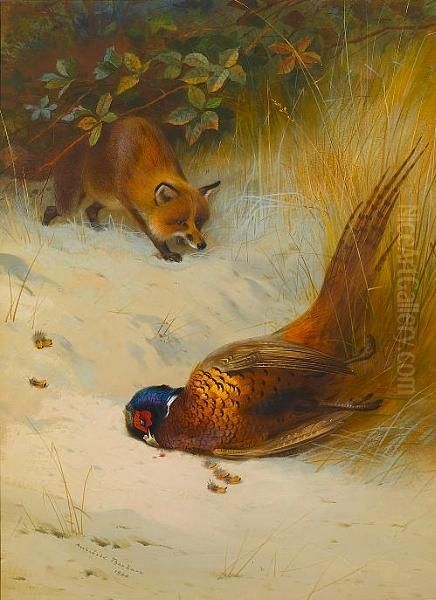 The Poacher Oil Painting by Archibald Thorburn