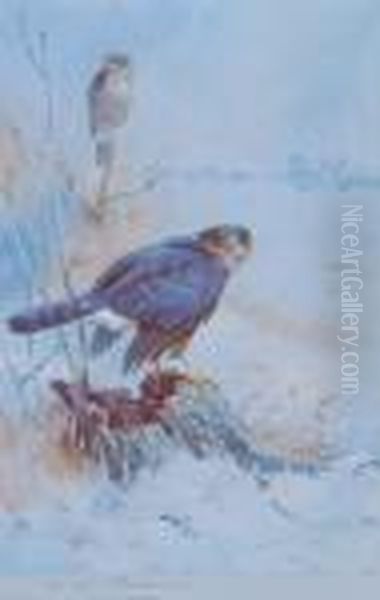 Birds Of Prey In Winter Oil Painting by Archibald Thorburn