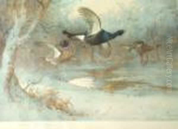 Blackcock And Other Birds Oil Painting by Archibald Thorburn