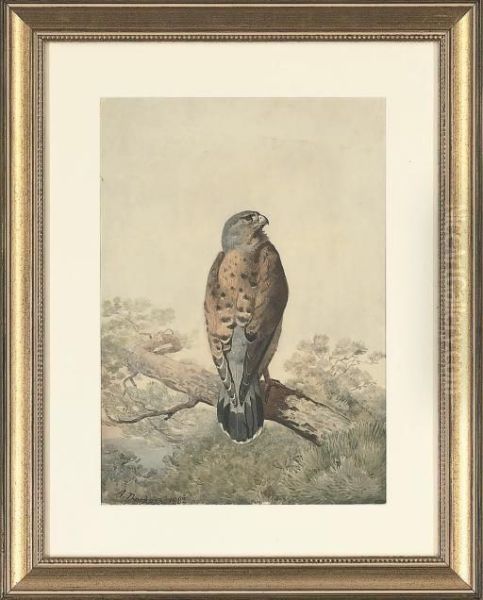 A Perched Kestrel Oil Painting by Archibald Thorburn