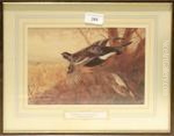 Black Cock And Grey Hen Oil Painting by Archibald Thorburn