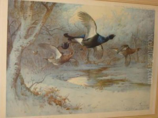 Untitled Oil Painting by Archibald Thorburn