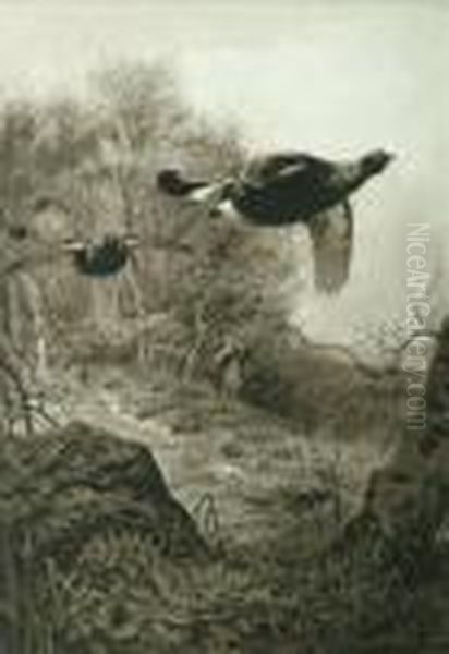 First Sight Ofthe Beaters Out In The Cold Courting Other Game Birds Oil Painting by Archibald Thorburn