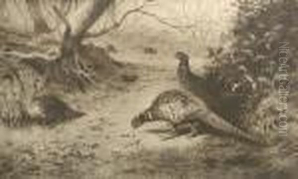 Pheasant Oil Painting by Archibald Thorburn