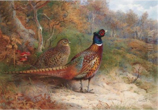 A Hen And A Cock Pheasant Oil Painting by Archibald Thorburn