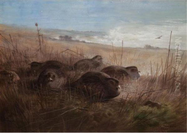 A Moonlight Night In The Open, Grey Partridges Oil Painting by Archibald Thorburn