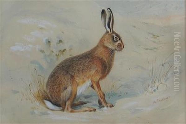 Hare In A Snowy Landscape Oil Painting by Archibald Thorburn