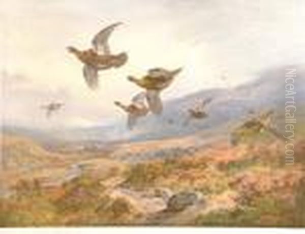 Grouse In Flight Over A Moor Oil Painting by Archibald Thorburn