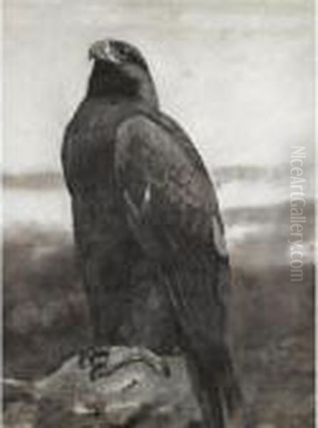 Golden Eagle Oil Painting by Archibald Thorburn