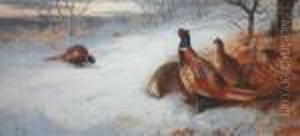 Pheasants Oil Painting by Archibald Thorburn