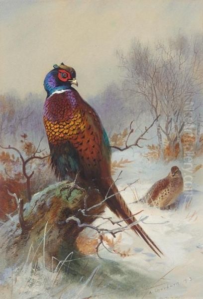 Pair Of Pheasants Oil Painting by Archibald Thorburn