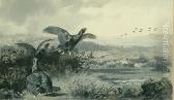 'grouse' - Out Of Cover Oil Painting by Archibald Thorburn