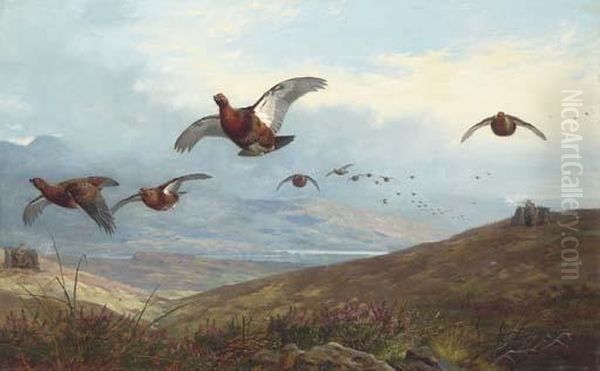 Grouse Shooting Oil Painting by Archibald Thorburn