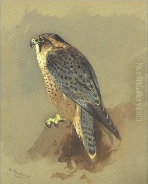 Peregrine Falcon Oil Painting by Archibald Thorburn