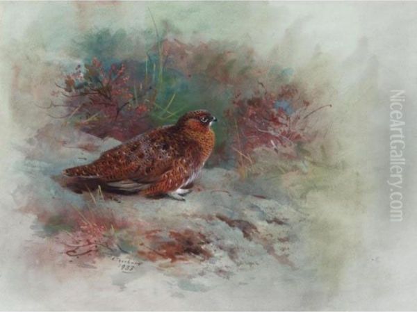 A Grouse Oil Painting by Archibald Thorburn