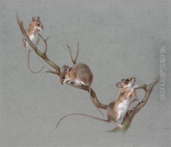 Three Field Mice Oil Painting by Archibald Thorburn