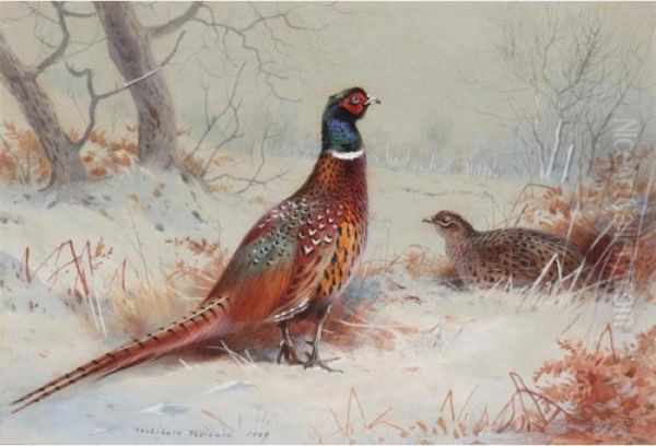 Pheasants In The Snow Oil Painting by Archibald Thorburn