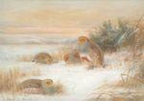 Partridge Inthe Snow Oil Painting by Archibald Thorburn